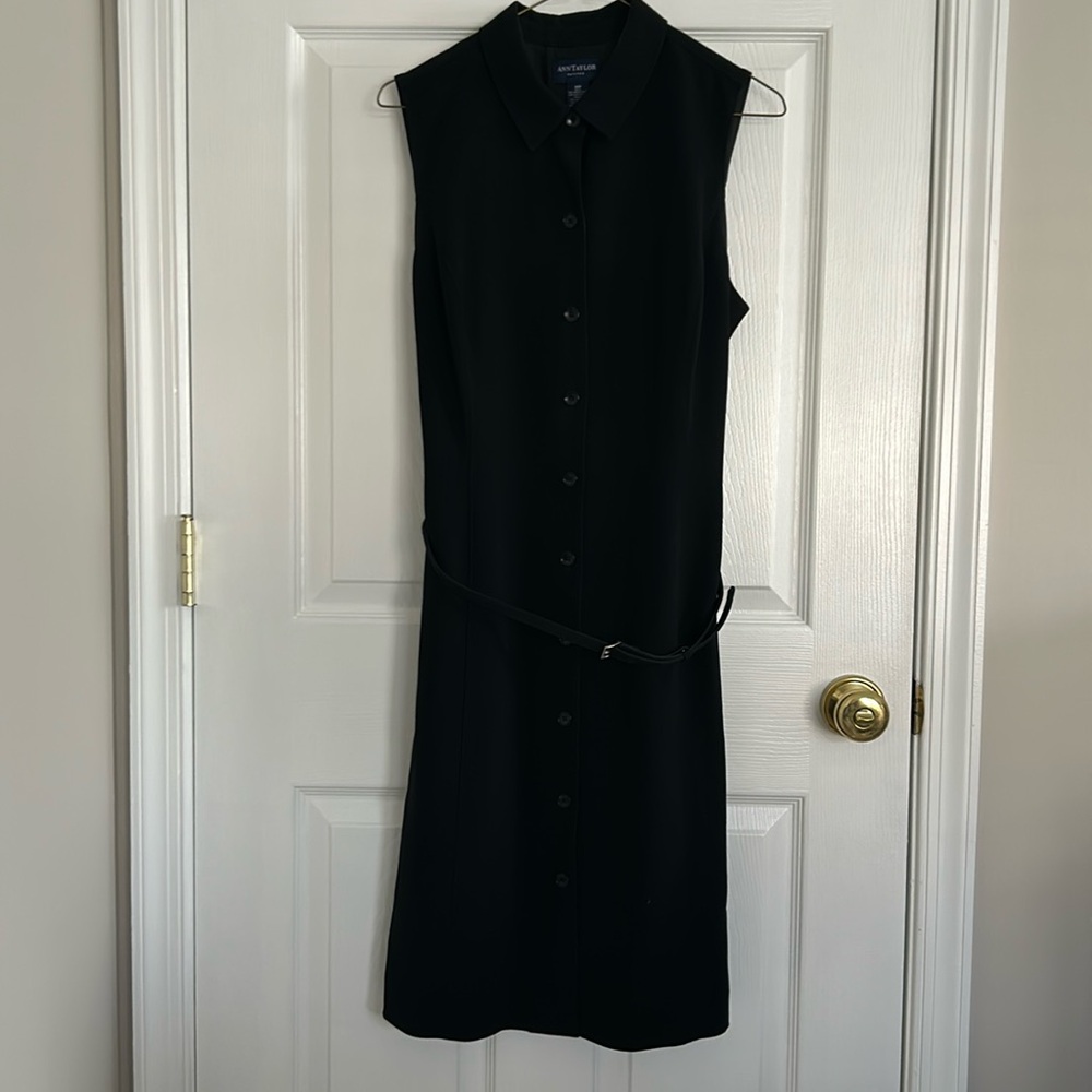 Belted Ann Taylor Dress 14p